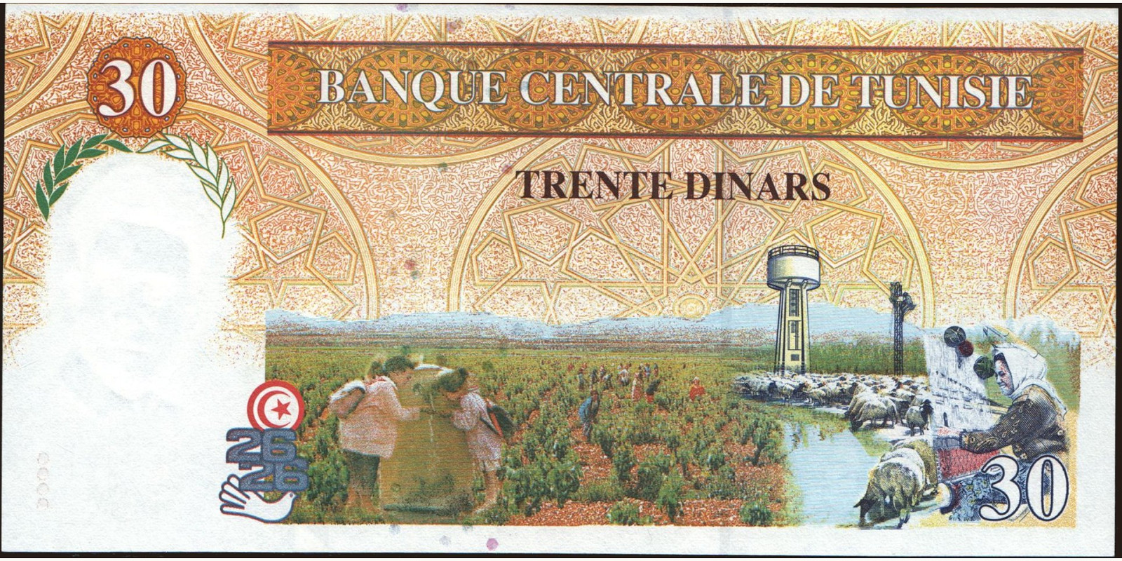 30 dinars Тунис 1997 — Оборотная сторона