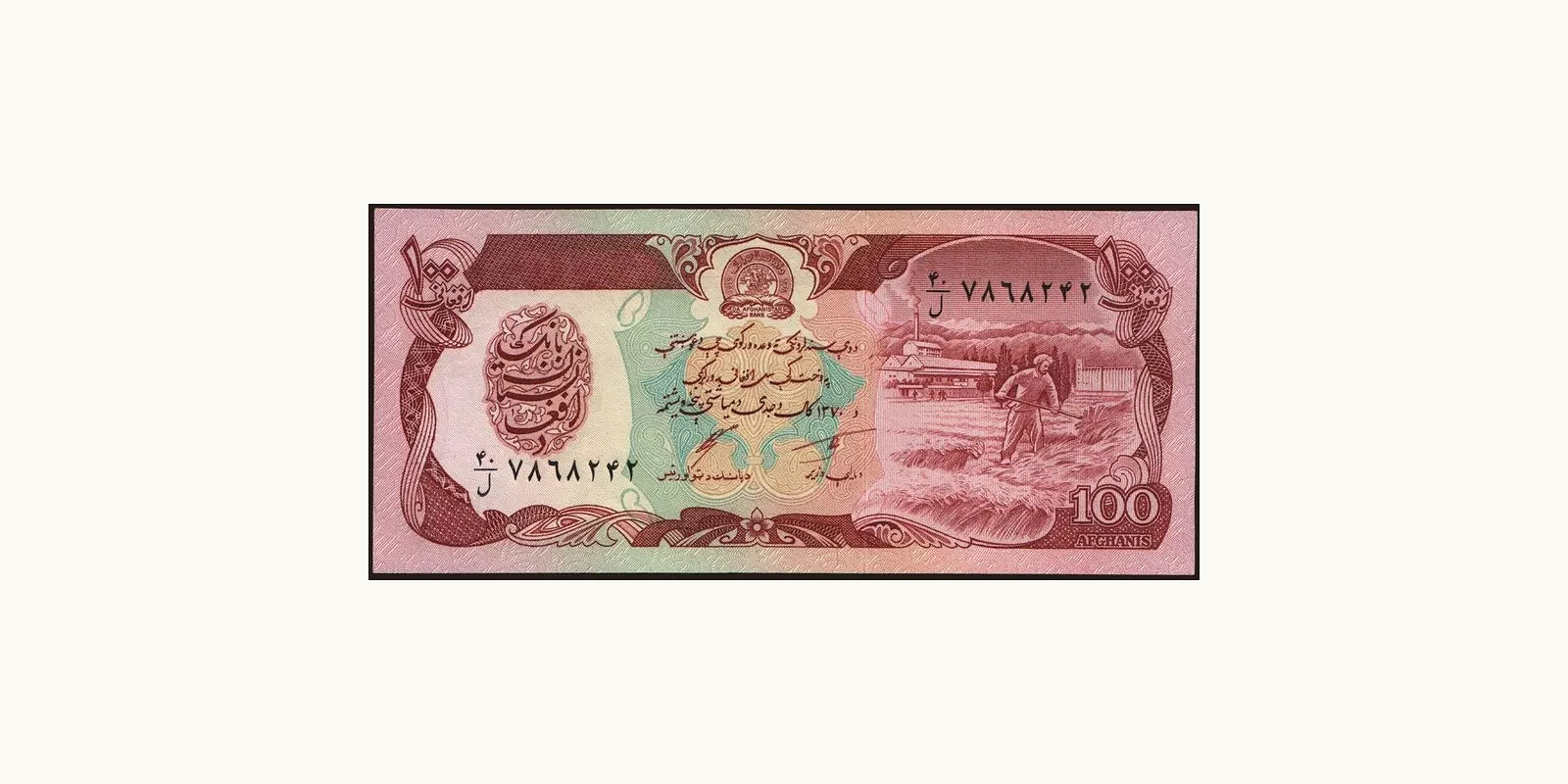 100 afghani Афганистан 1991 — Лицевая сторона