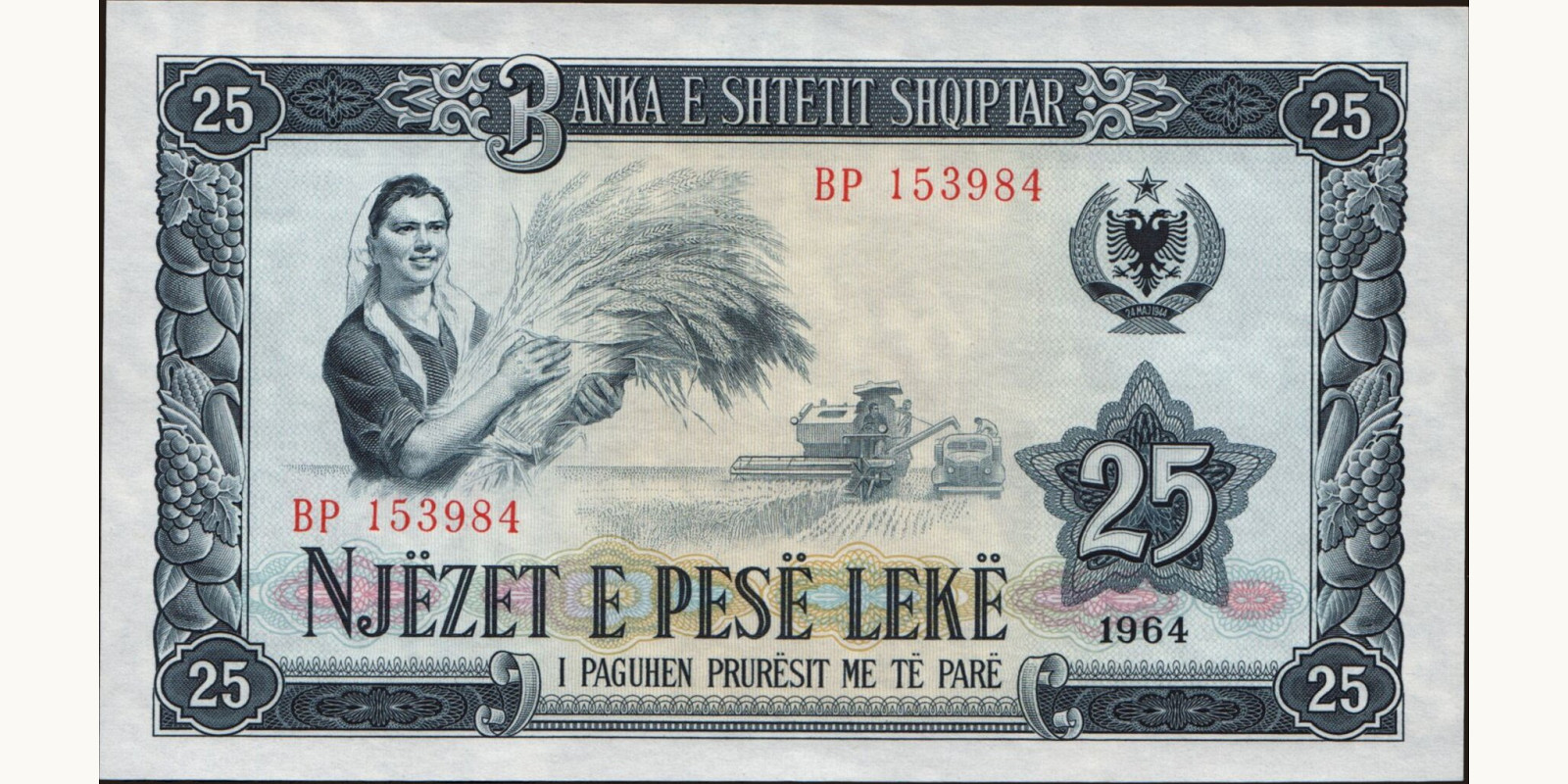 25 leke 1964