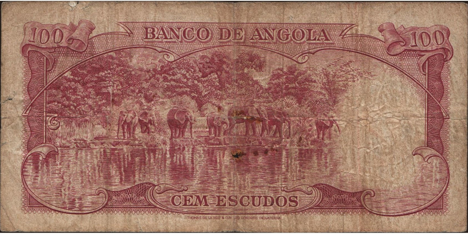 100 escudos Ангола 1962 — Оборотная сторона