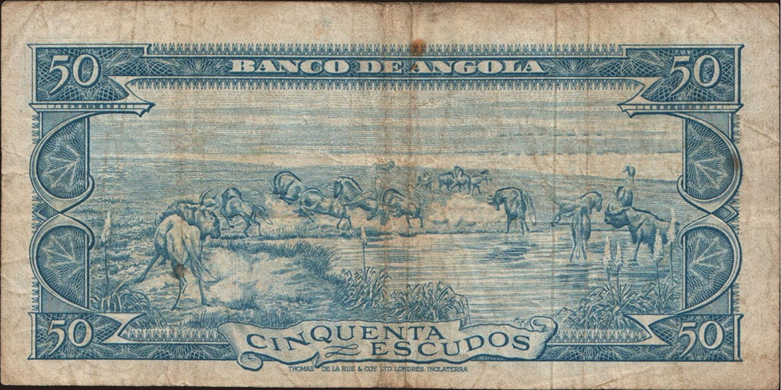 50 escudos Ангола 1962 — Оборотная сторона