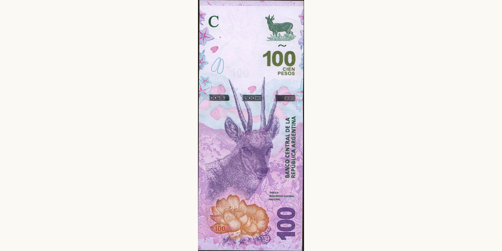 100 pesos 2018