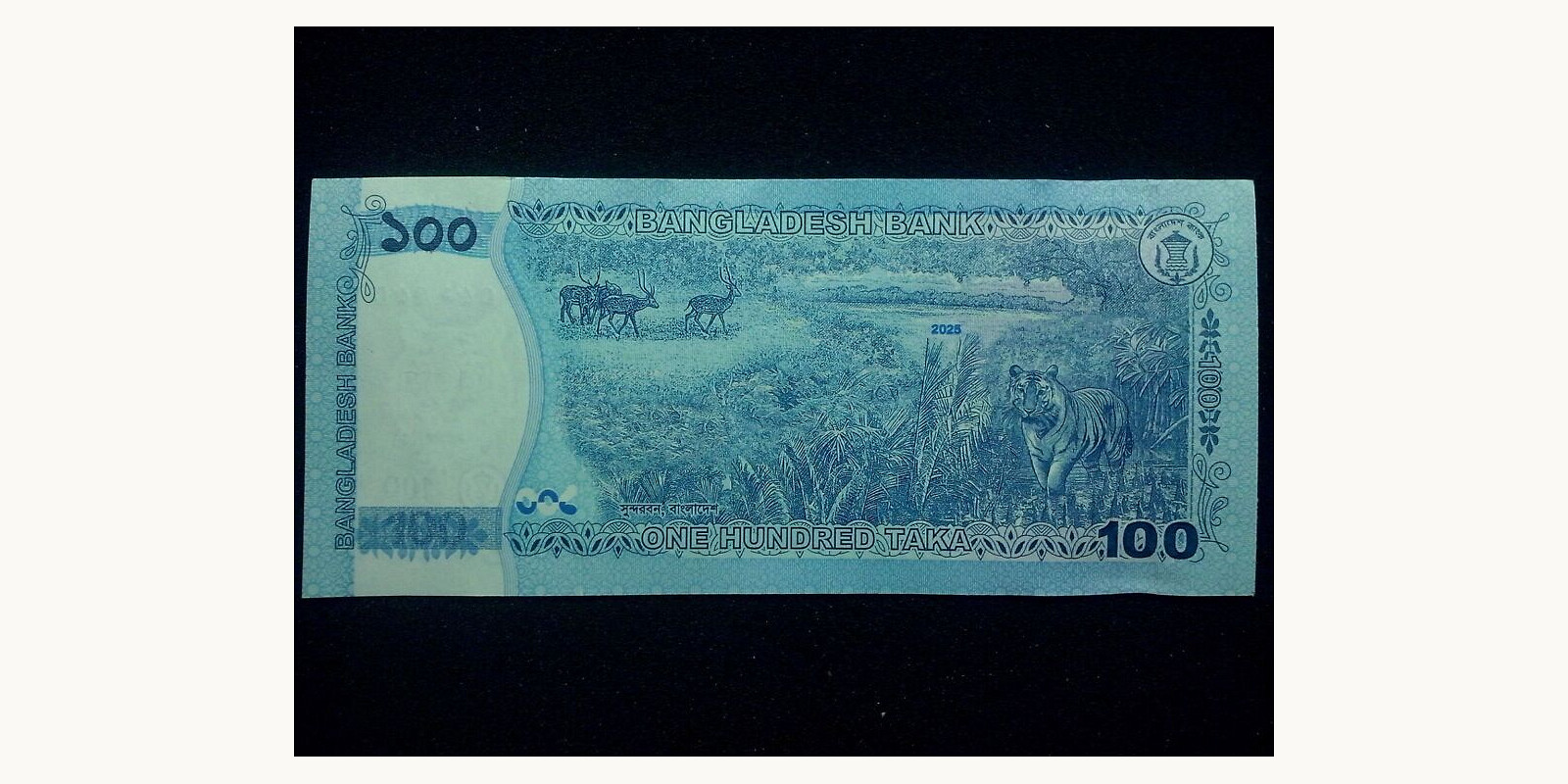100 taka Бангладеш 2025 — Оборотная сторона
