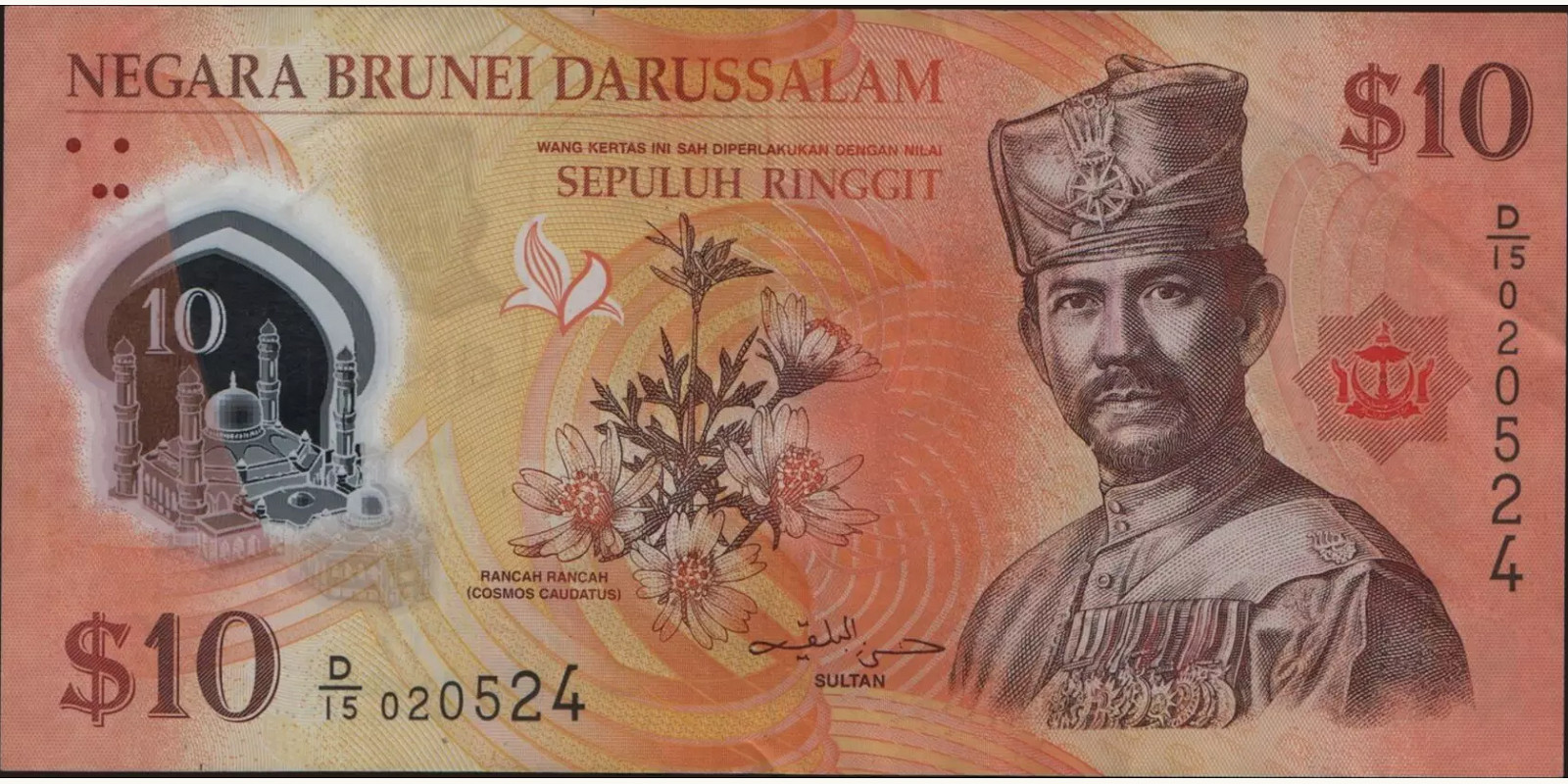 10 ringgit 2011