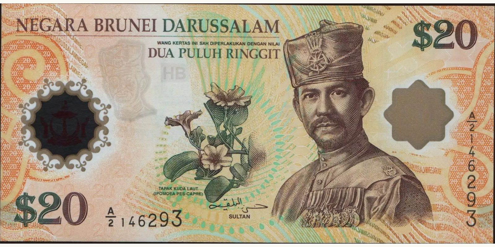 20 ringgit Бруней 2007 — Лицевая сторона