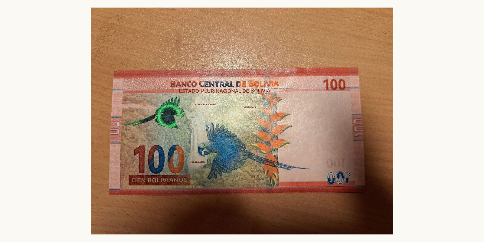100 bolivianot Боливия 2025 — Оборотная сторона