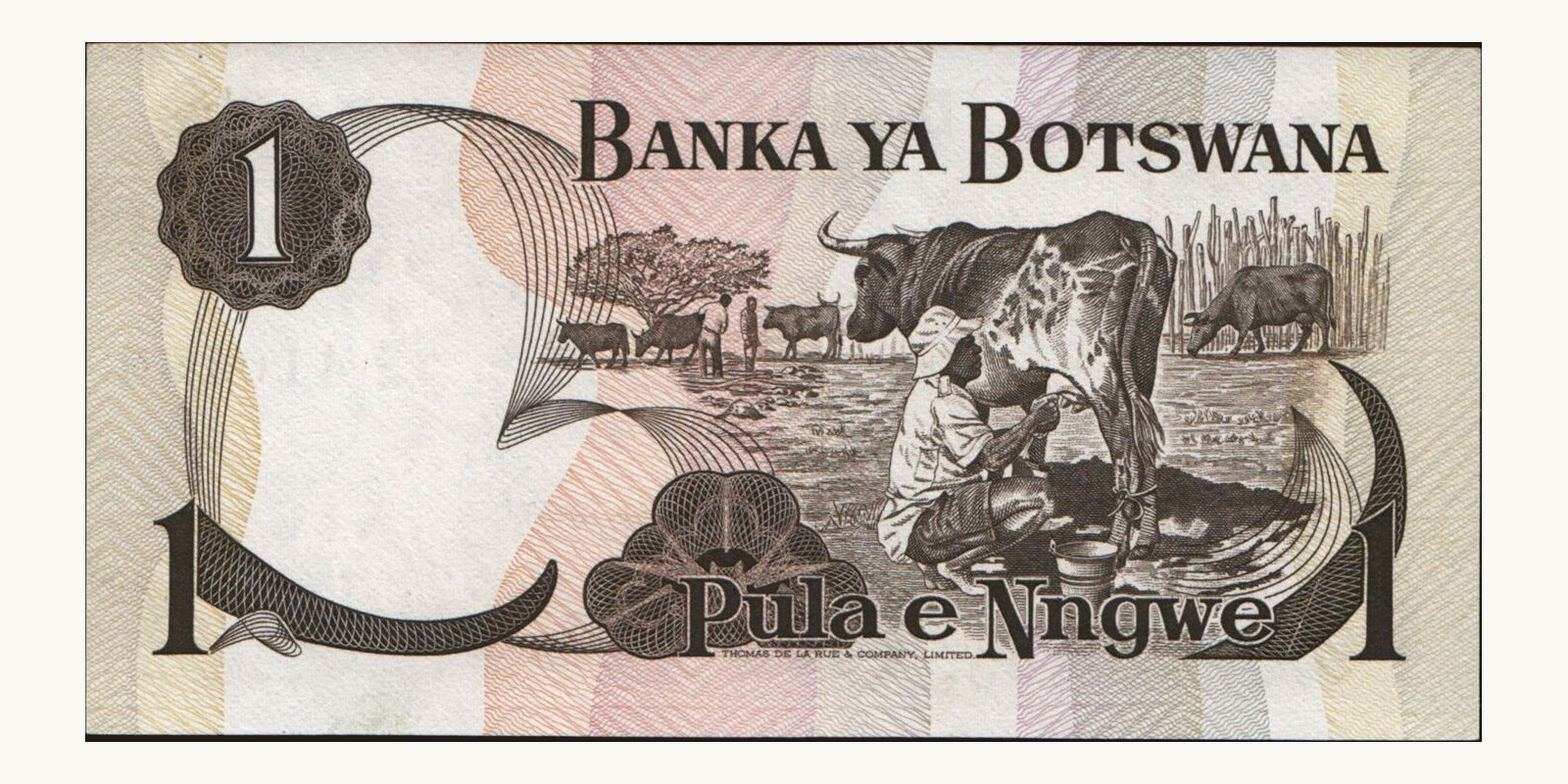1 pula Ботсвана 1976 — Оборотная сторона