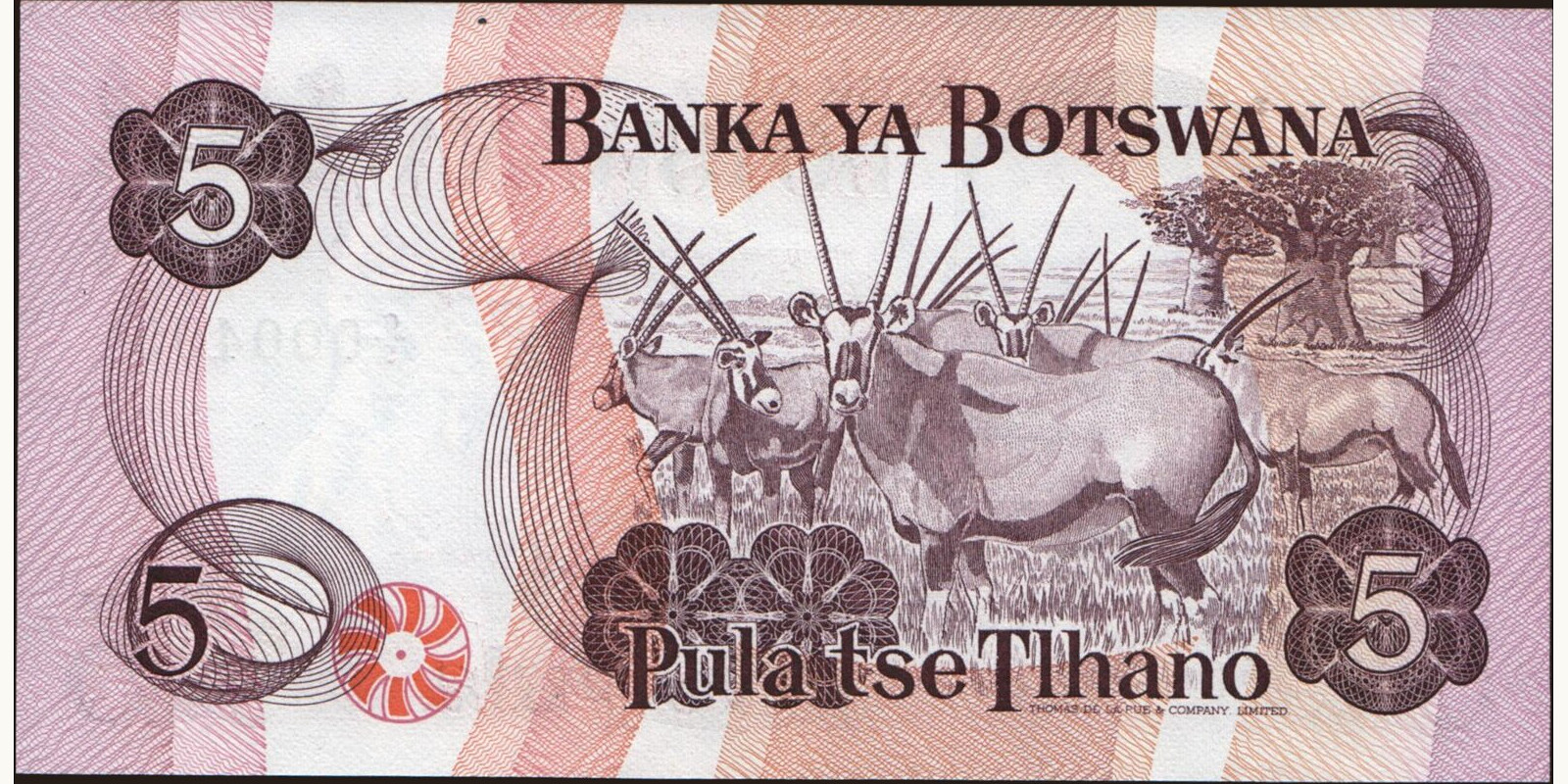 5 pula Botswana 1982 — Back side