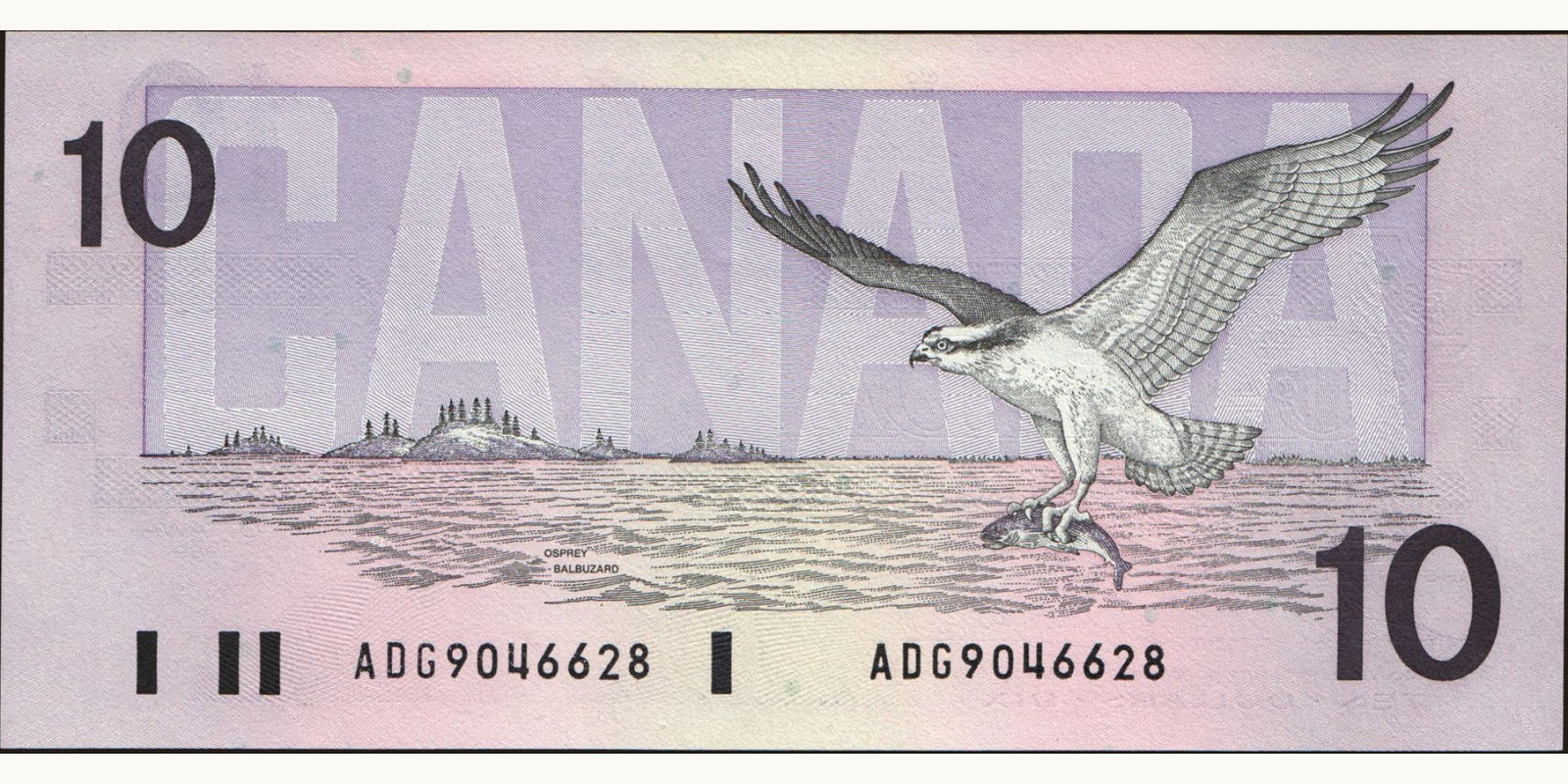 10 dollars Канада 1989 — Оборотная сторона