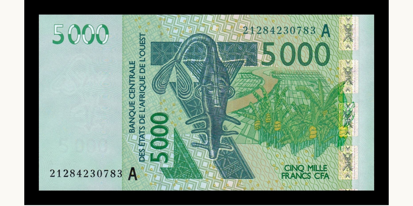 5000 francs Кот-д’Ивуар 2021 — Лицевая сторона
