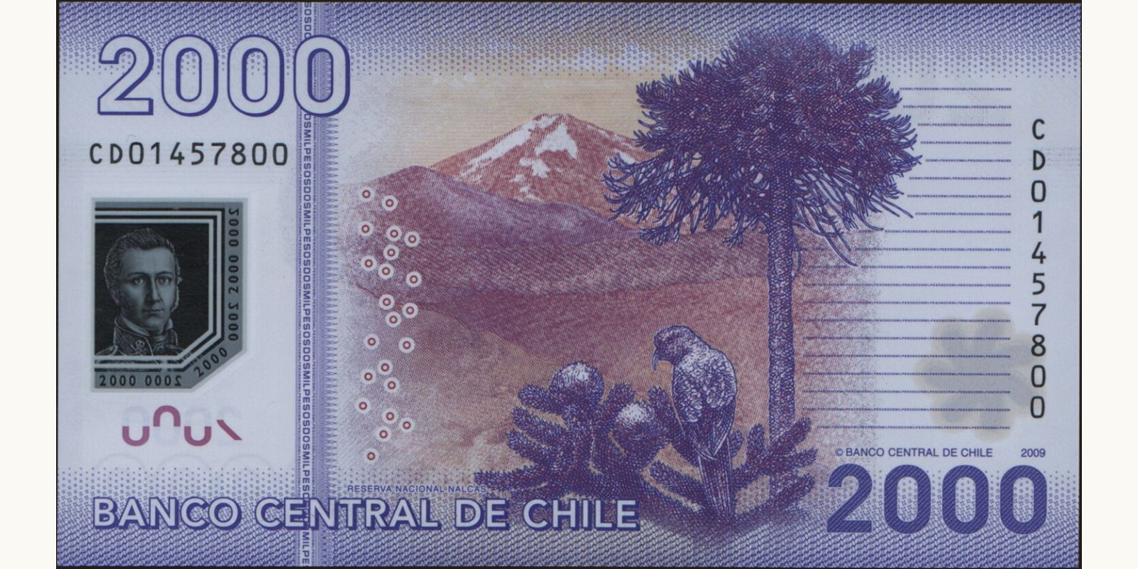 2009 pesos Chile 2000 — Back side