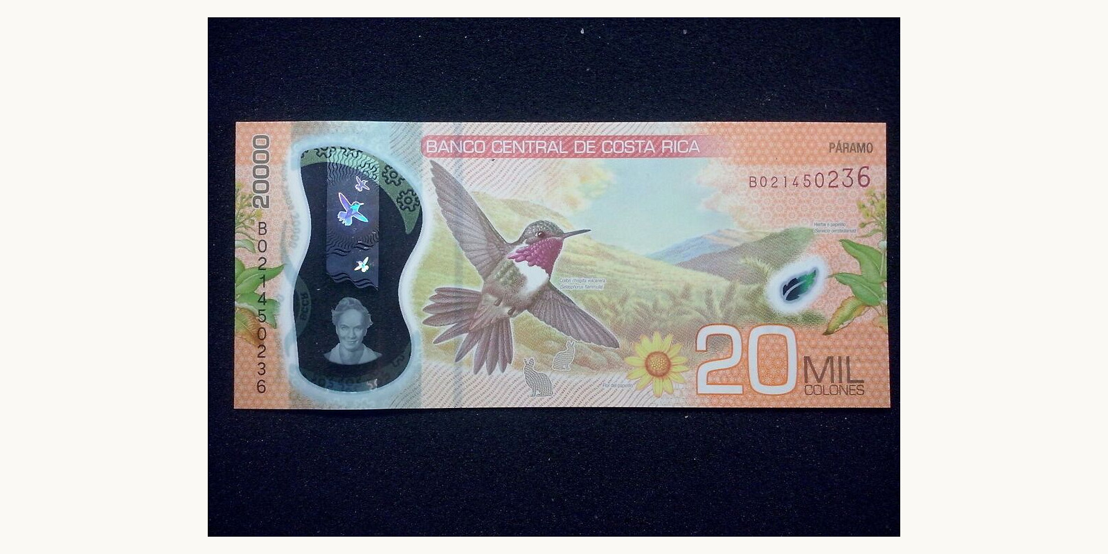 20000 colones 2018