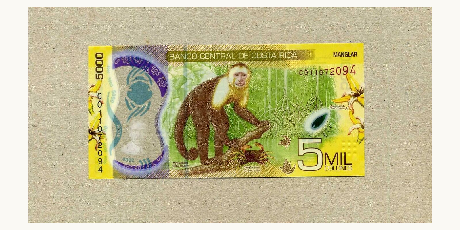 5000 colones Коста-Рика 2018 — Оборотная сторона