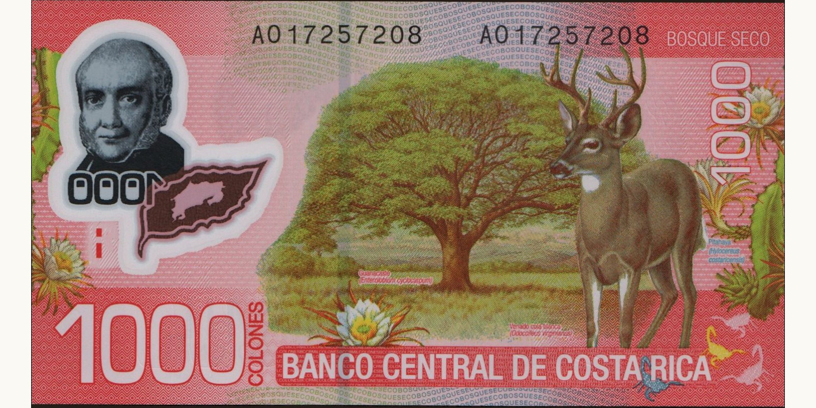 1000 colones Коста-Рика 2009 — Оборотная сторона