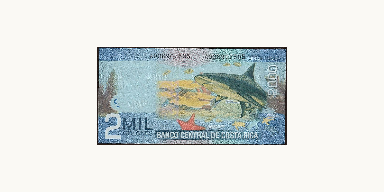 2009 colones Коста-Рика 2000 — Оборотная сторона