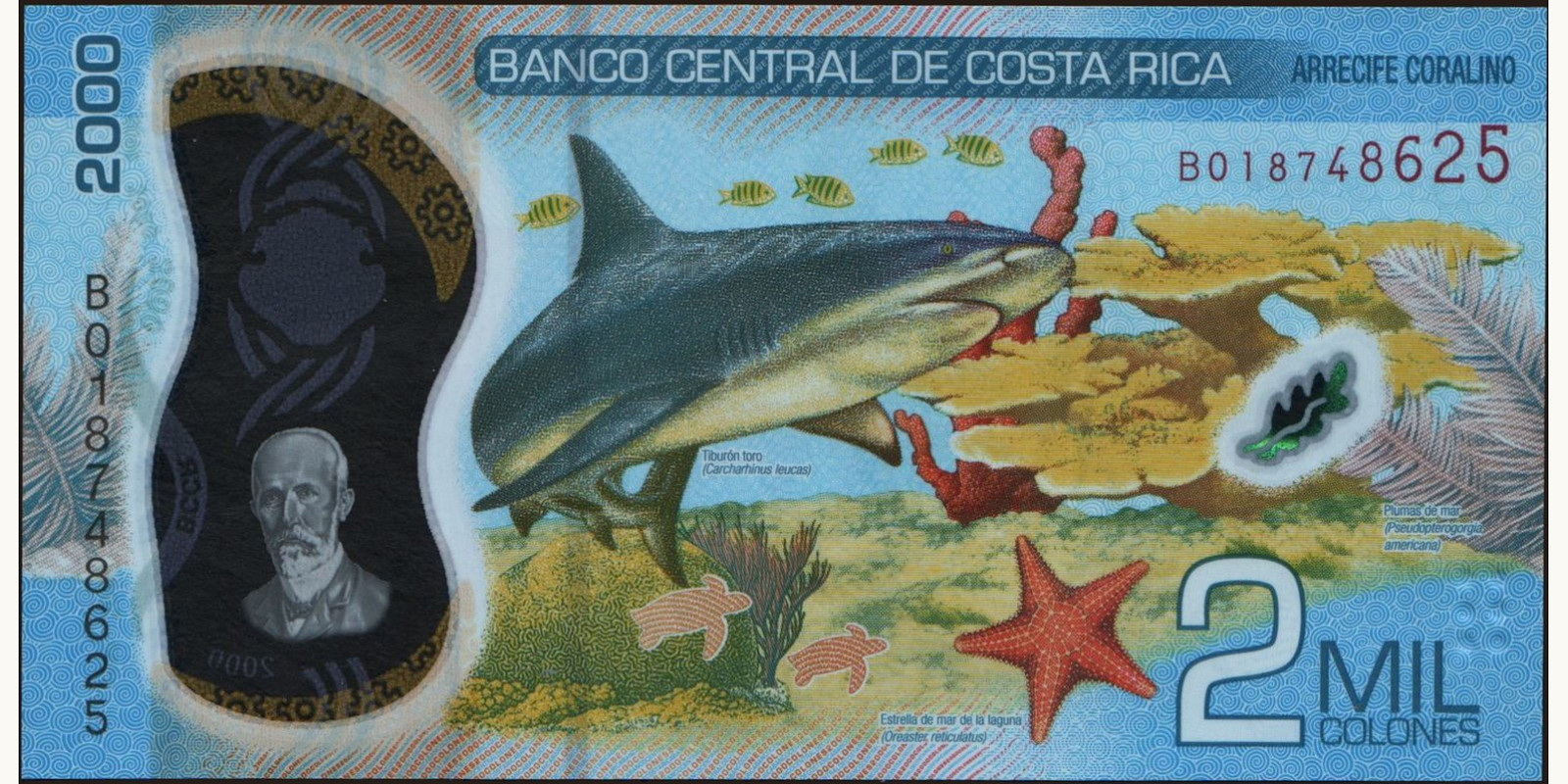 2018 colones Коста-Рика 2000 — Оборотная сторона
