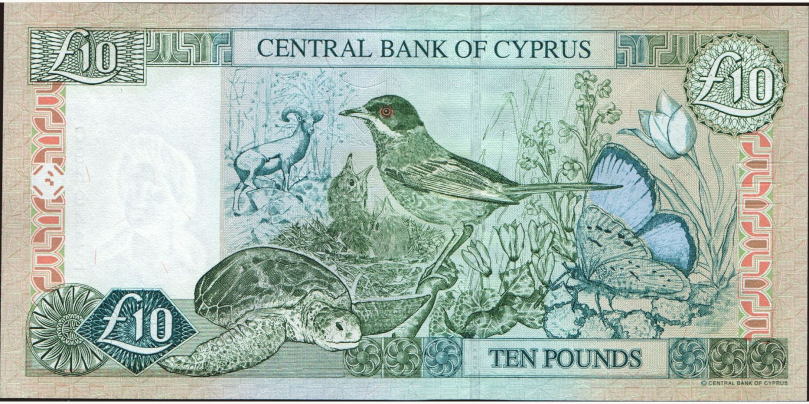 10 pounds Кипр 1997 — Оборотная сторона