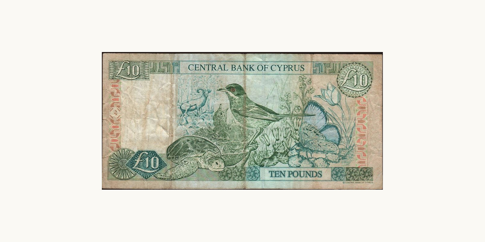 10 pounds Кипр 1998 — Оборотная сторона