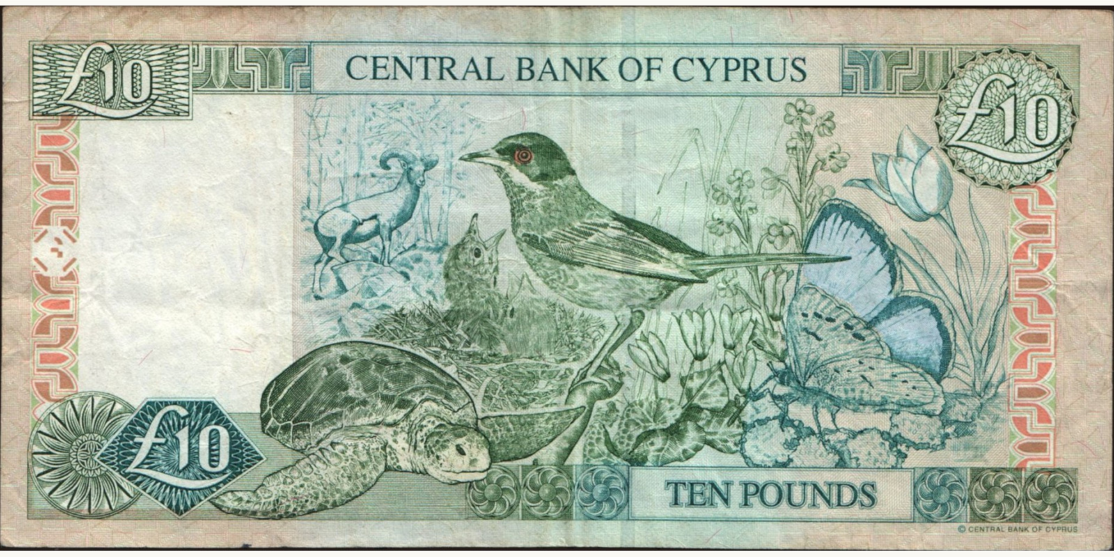 10 pounds Кипр 2001 — Оборотная сторона