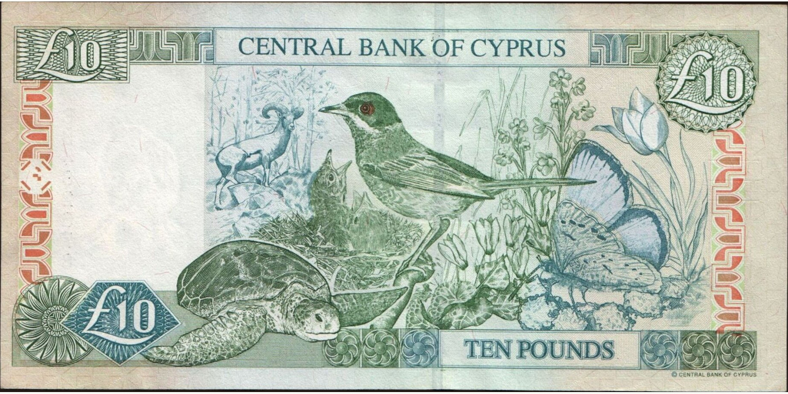 10 pounds Cyprus 2003 — Back side