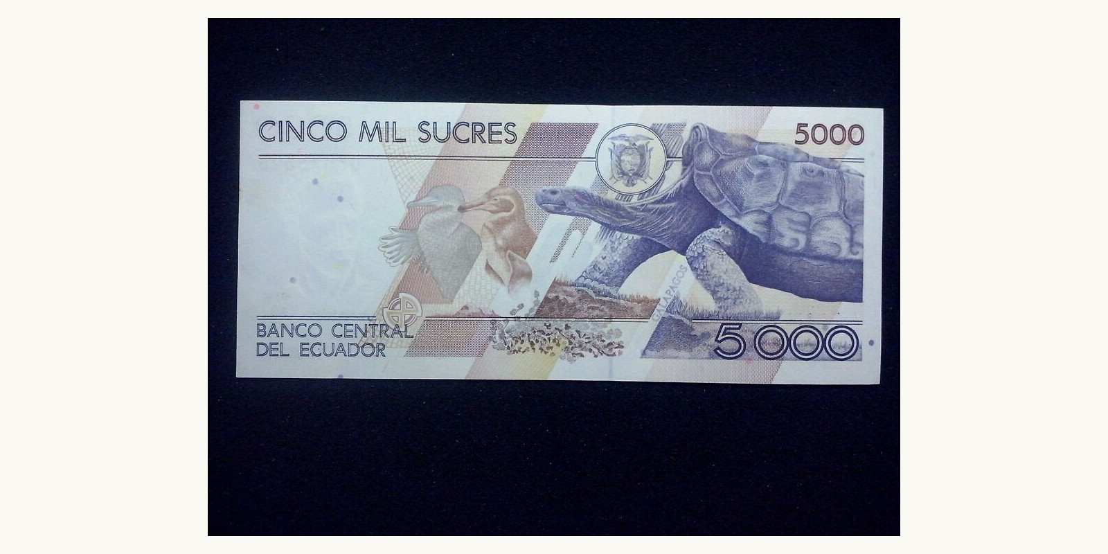 5000 sucres Ecuador 1999 — Back side