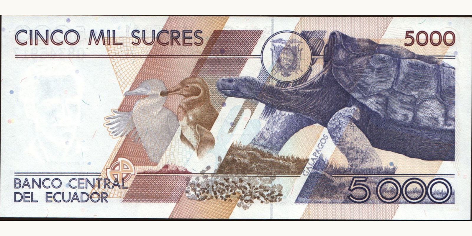 5000 sucres Эквадор 1991 — Оборотная сторона