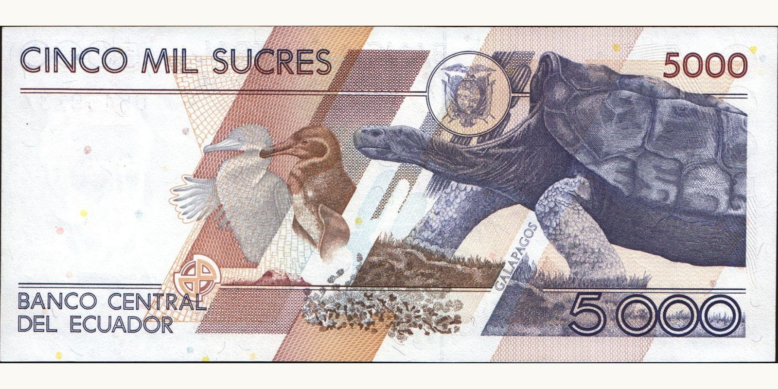 5000 sucres Эквадор 1995 — Оборотная сторона