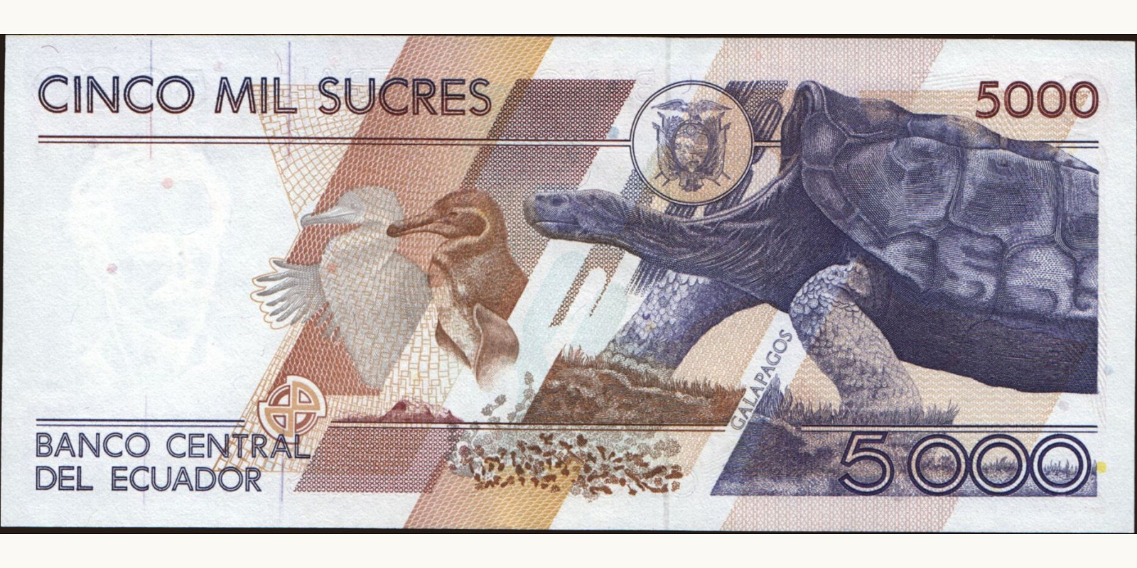 5000 sucres Ecuador 1996 — Back side