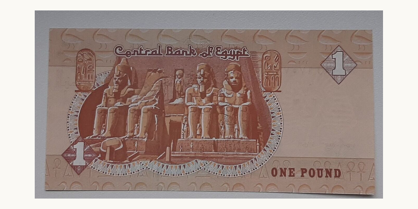 1 pound Египет 1993 — Оборотная сторона