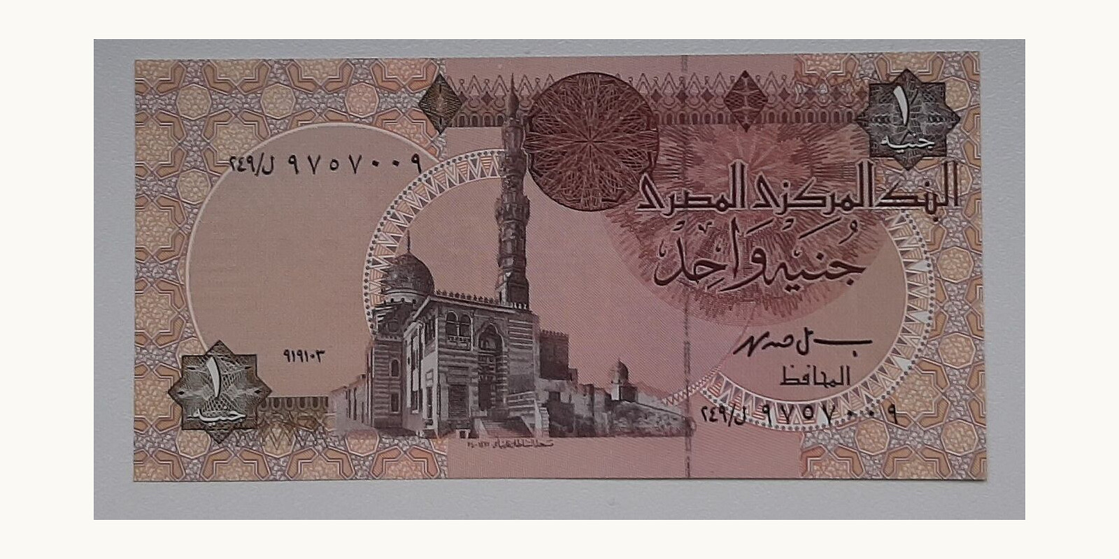 1 pound Египет 1993 — Лицевая сторона