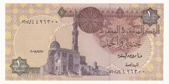 1 pound 2008