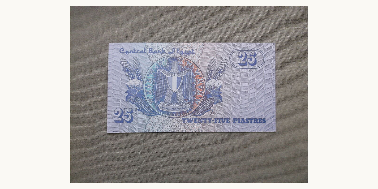 25 piastres Египет 2006 — Оборотная сторона