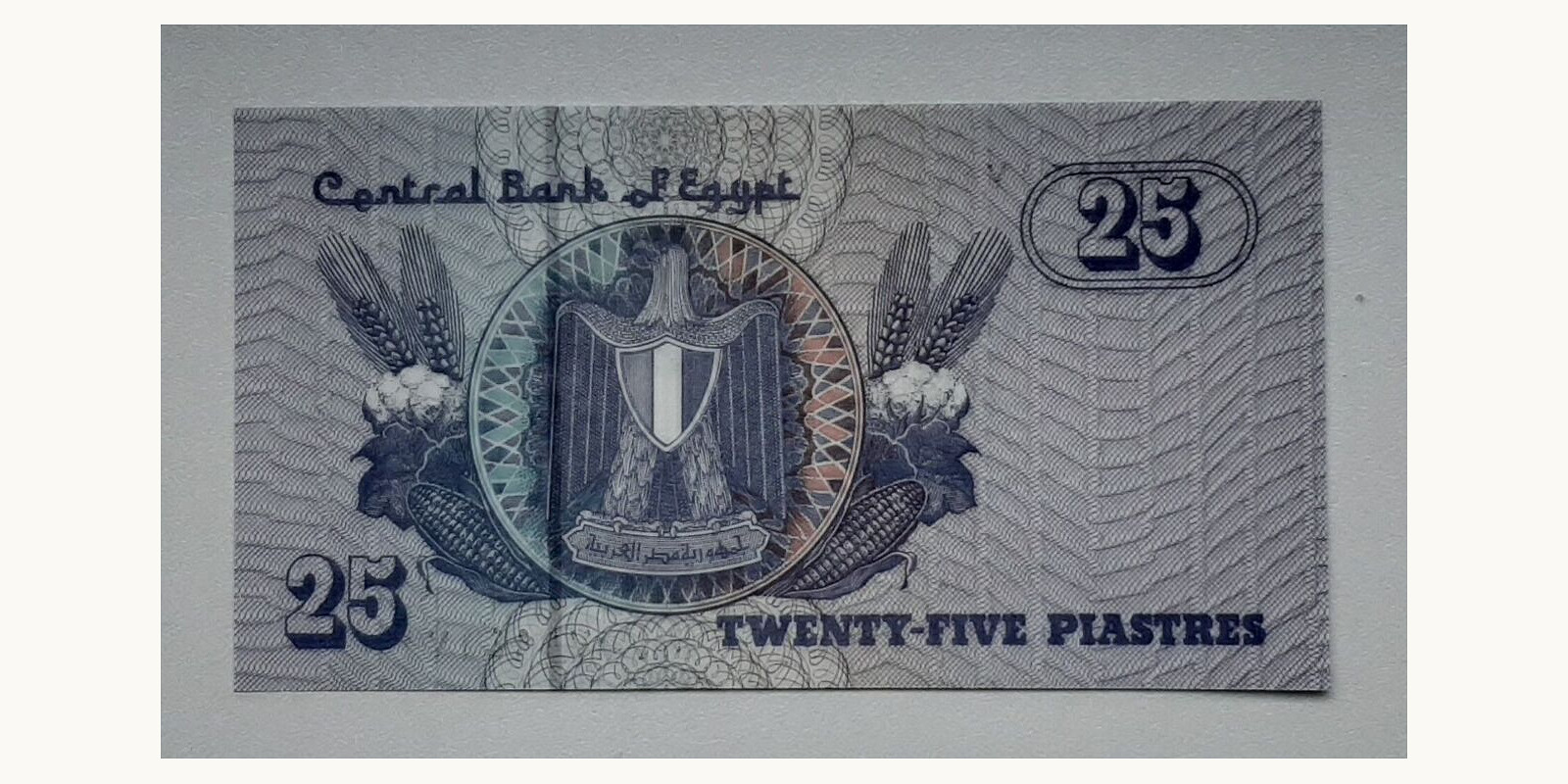 25 piastres Египет 2004 — Оборотная сторона