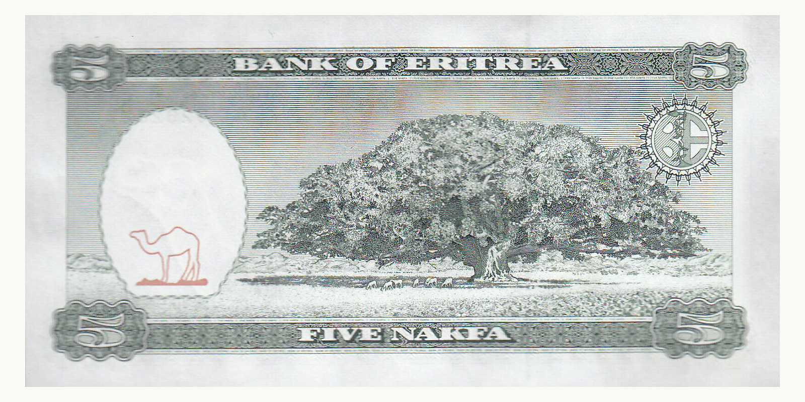 5 nakfa Эритрея 1997 — Оборотная сторона