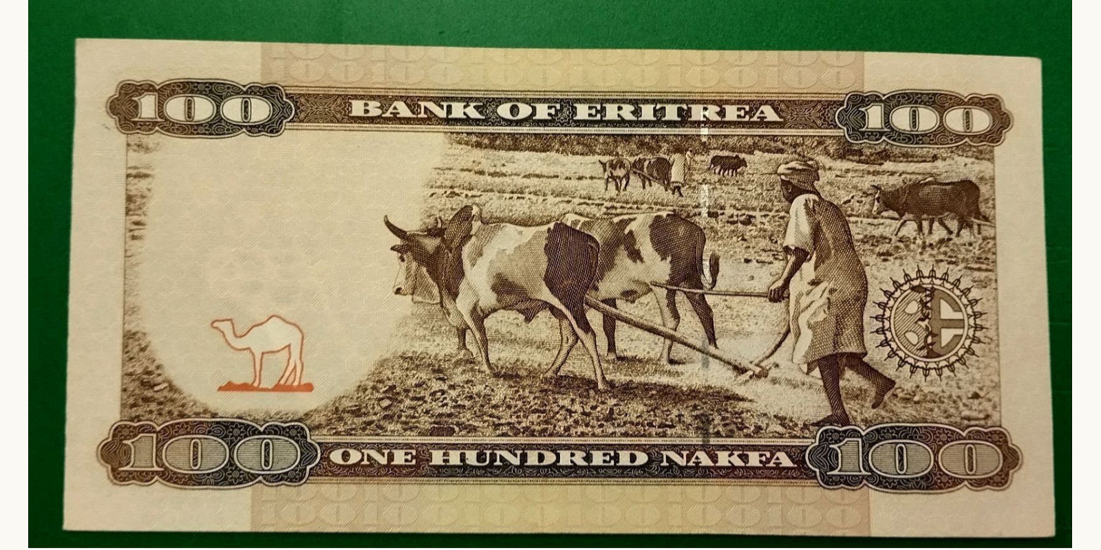 100 nakfa Эритрея 2011 — Оборотная сторона