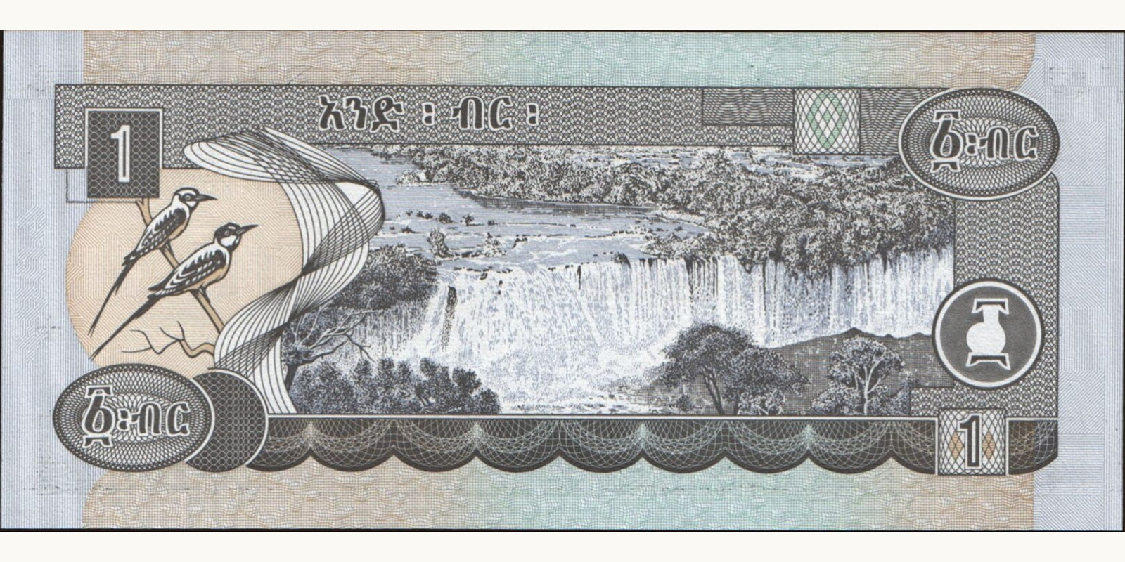 1 birr Эфиопия 2000 — Оборотная сторона