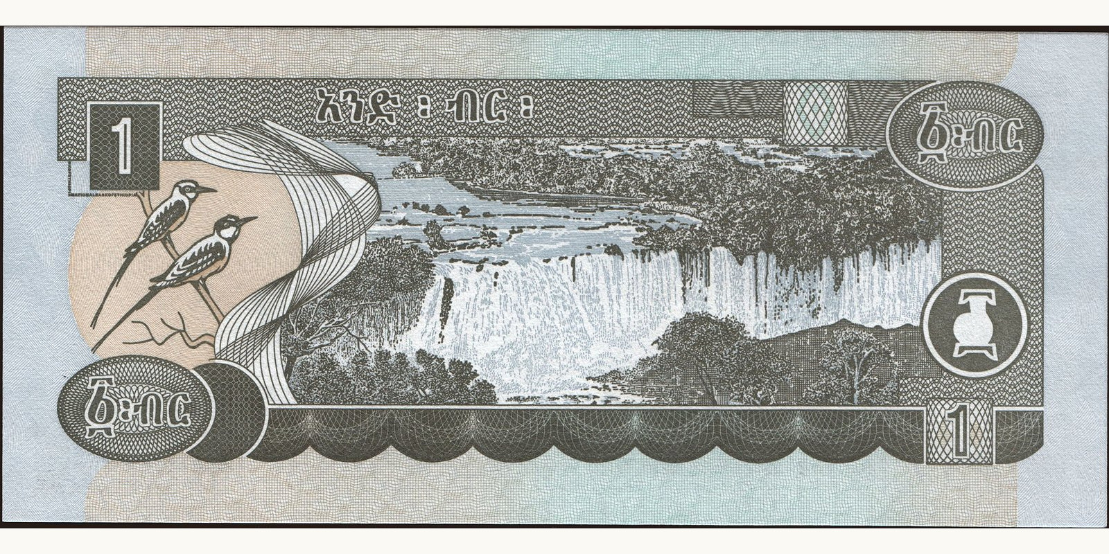 1 birr Эфиопия 2008 — Оборотная сторона