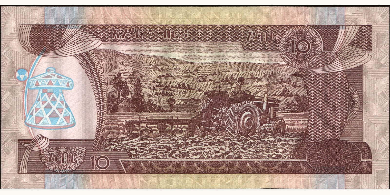 10 birr Эфиопия 2008 — Оборотная сторона