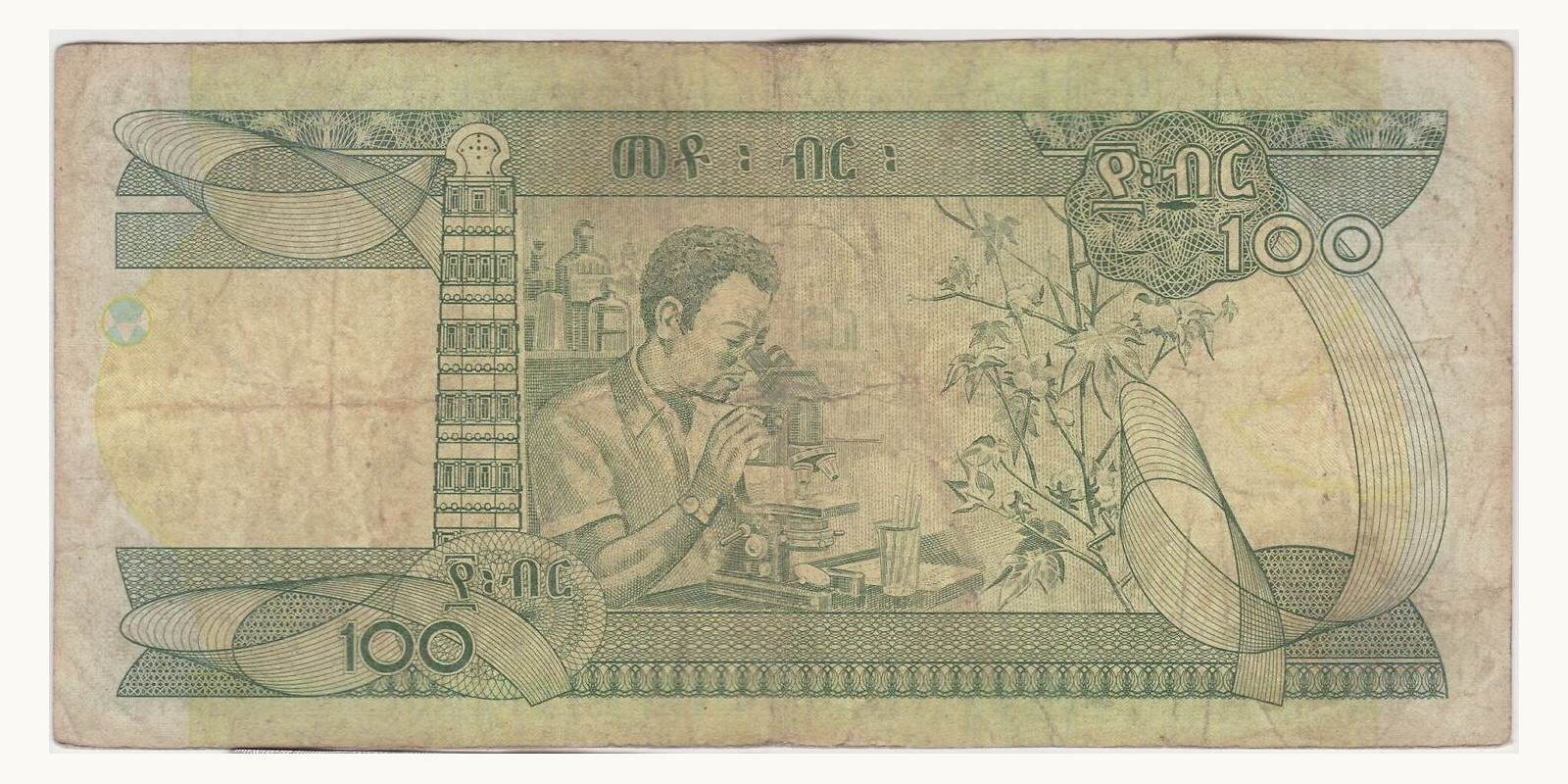 100 Birr Эфиопия 2007 — Оборотная сторона