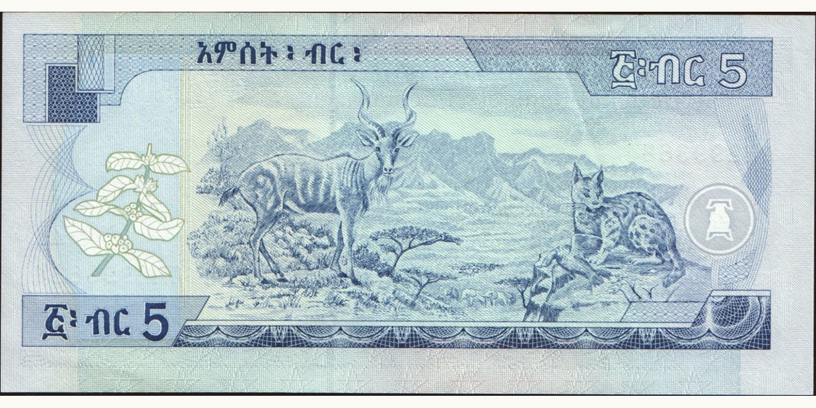 5 birr Эфиопия 2000 — Оборотная сторона