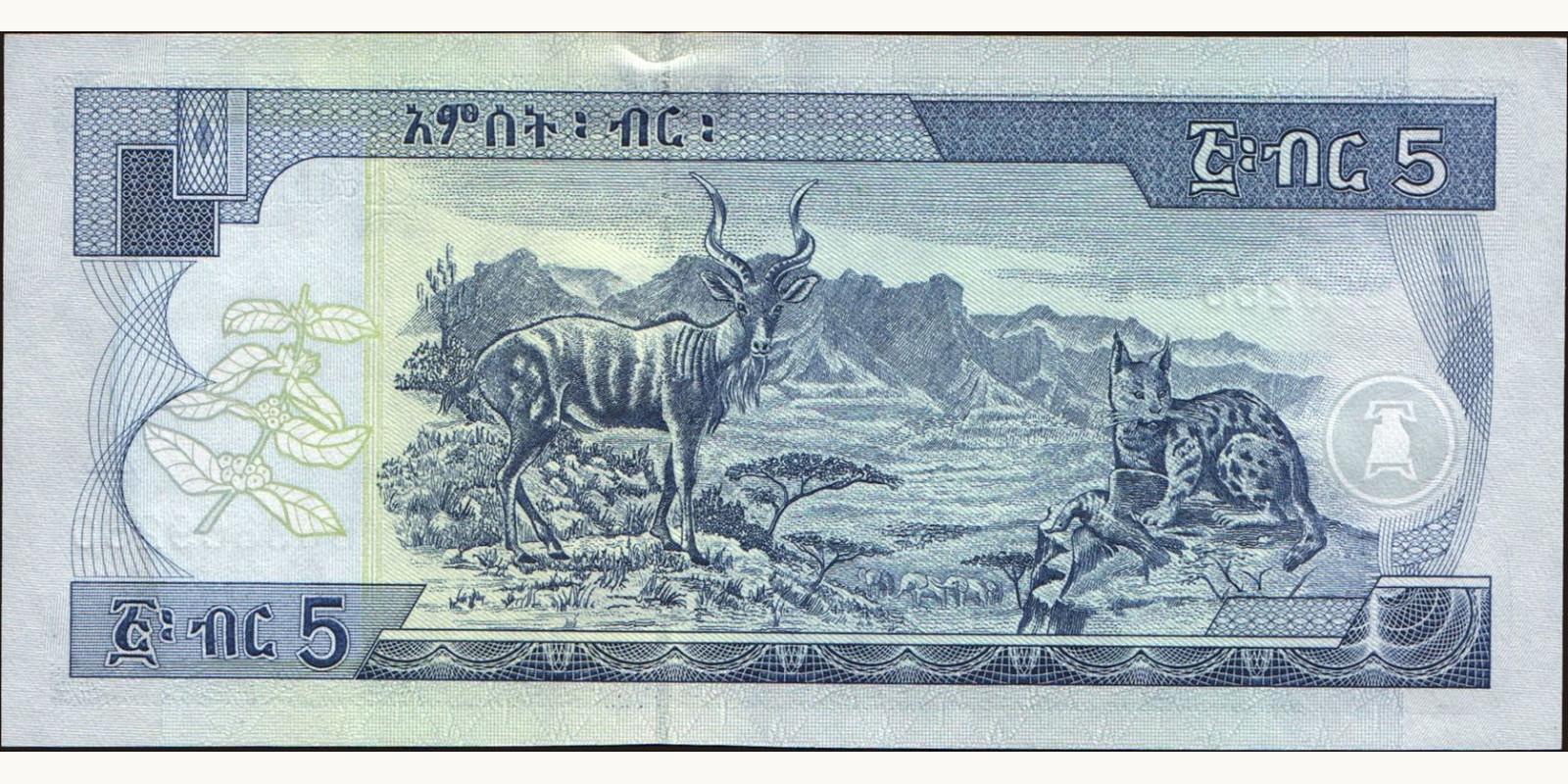 5 birr Ethiopia 2006 — Back side