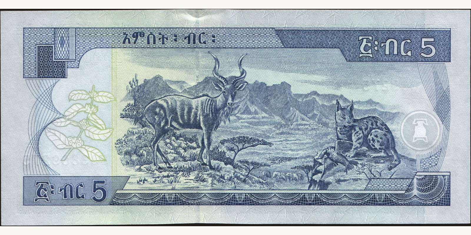 5 birr Эфиопия 2008 — Оборотная сторона