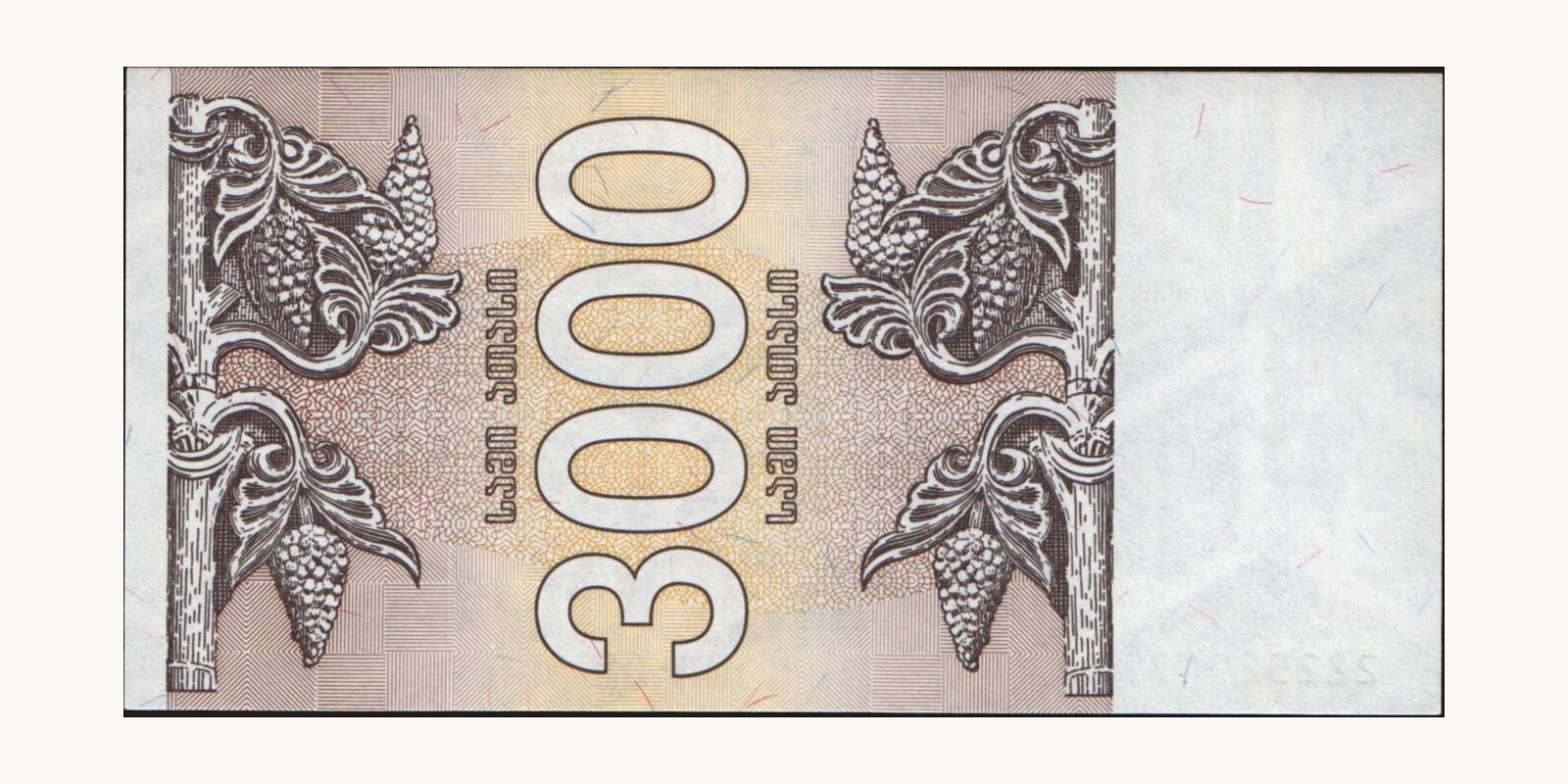 3000 laris Грузия 1993 — Оборотная сторона