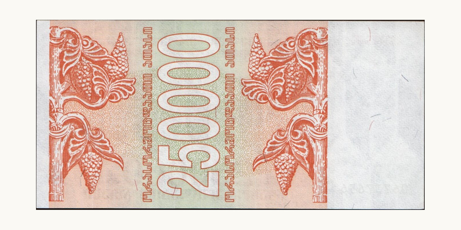 250000 laris Georgia 1994 — Back side