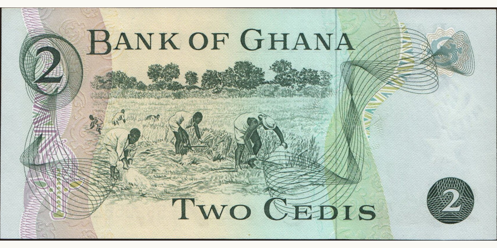 2 cedis Гана 1977 — Оборотная сторона
