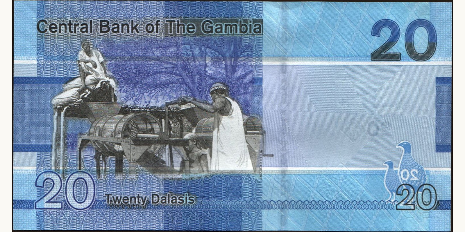 20 dalasis Gambia 2019 — Back side