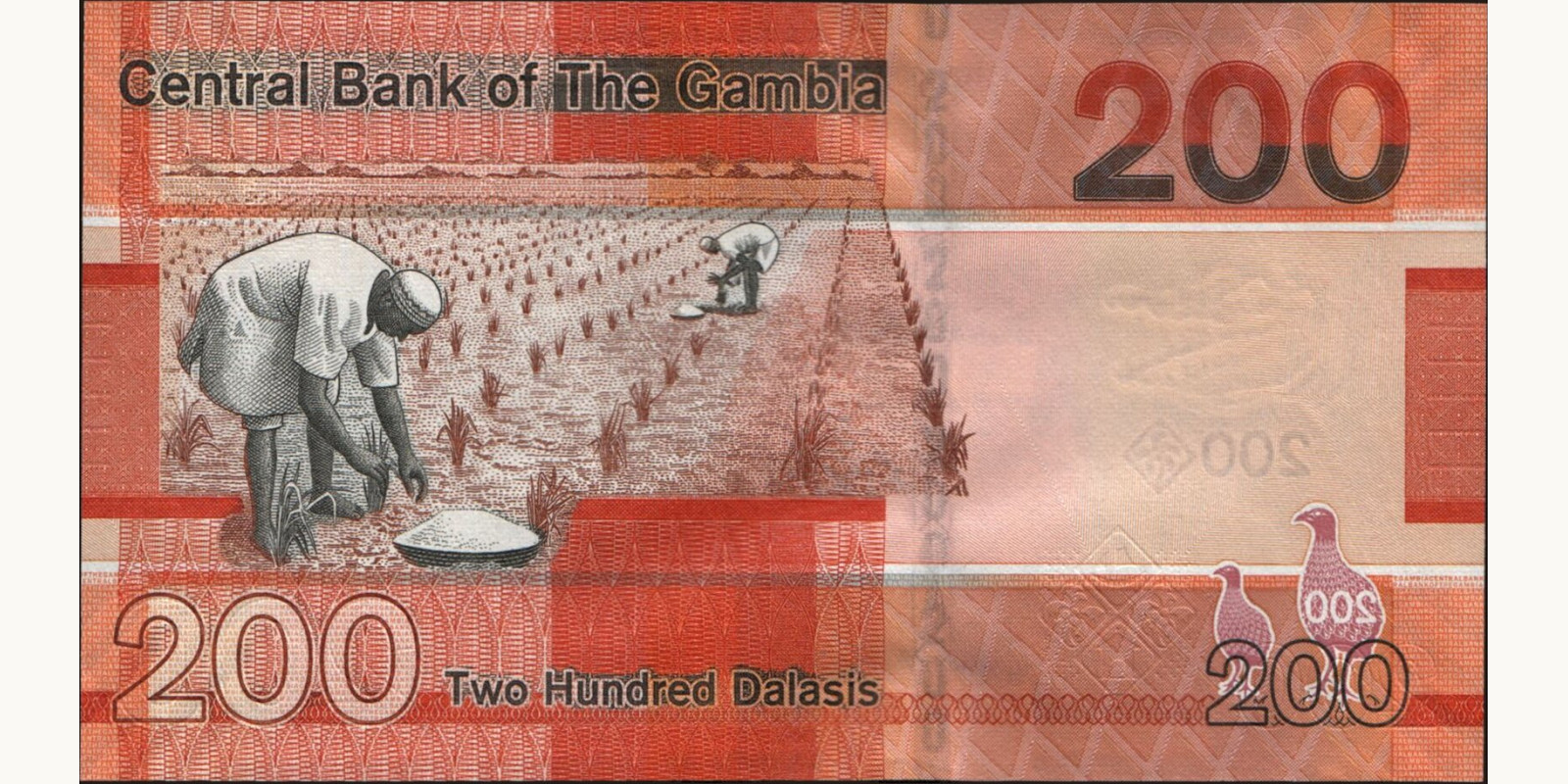 200 dalasis Гамбия 2019 — Оборотная сторона