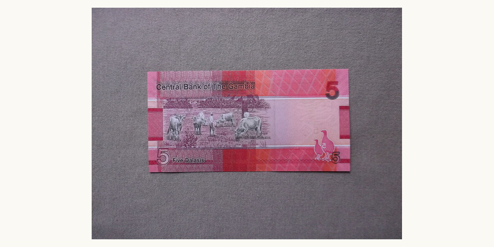 5 dalasis Гамбия 2023 — Оборотная сторона