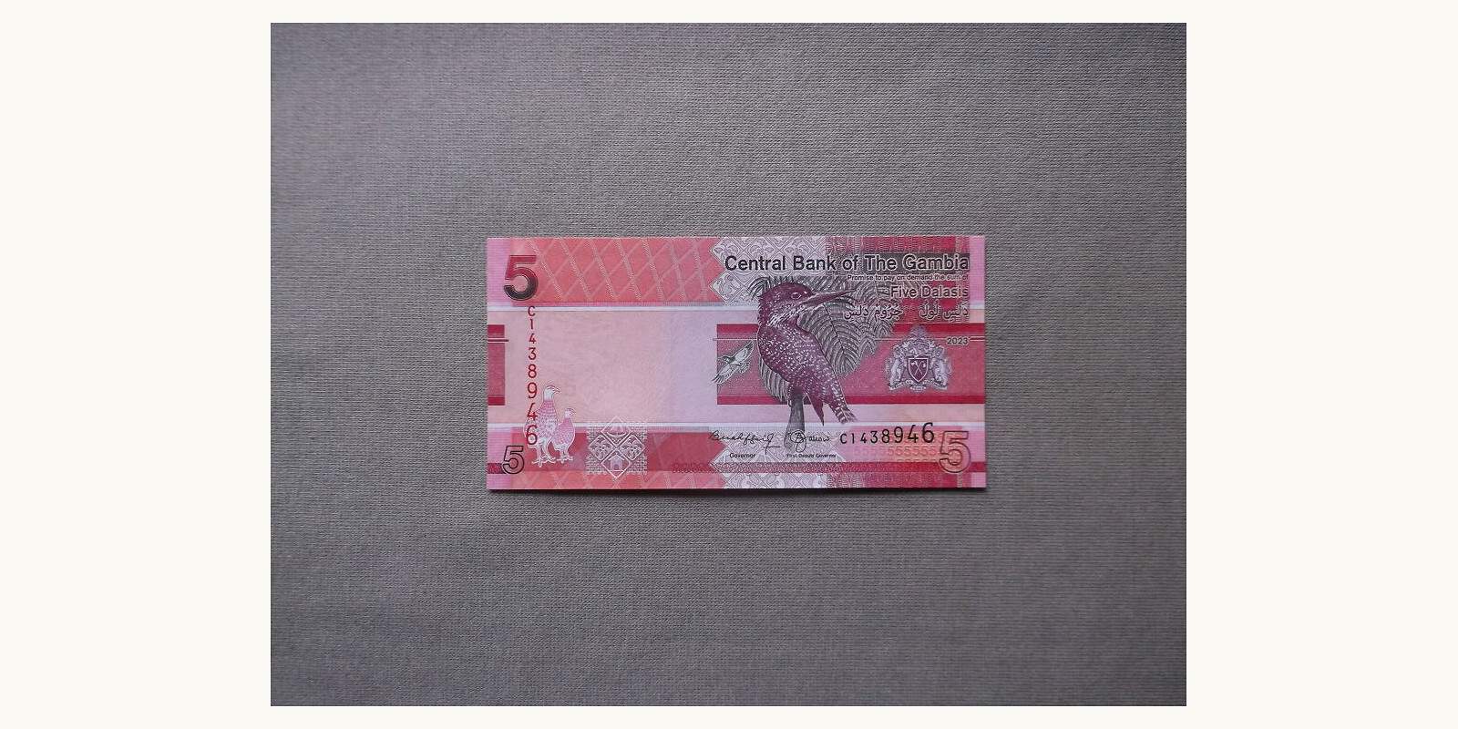 5 dalasis Гамбия 2023 — Лицевая сторона