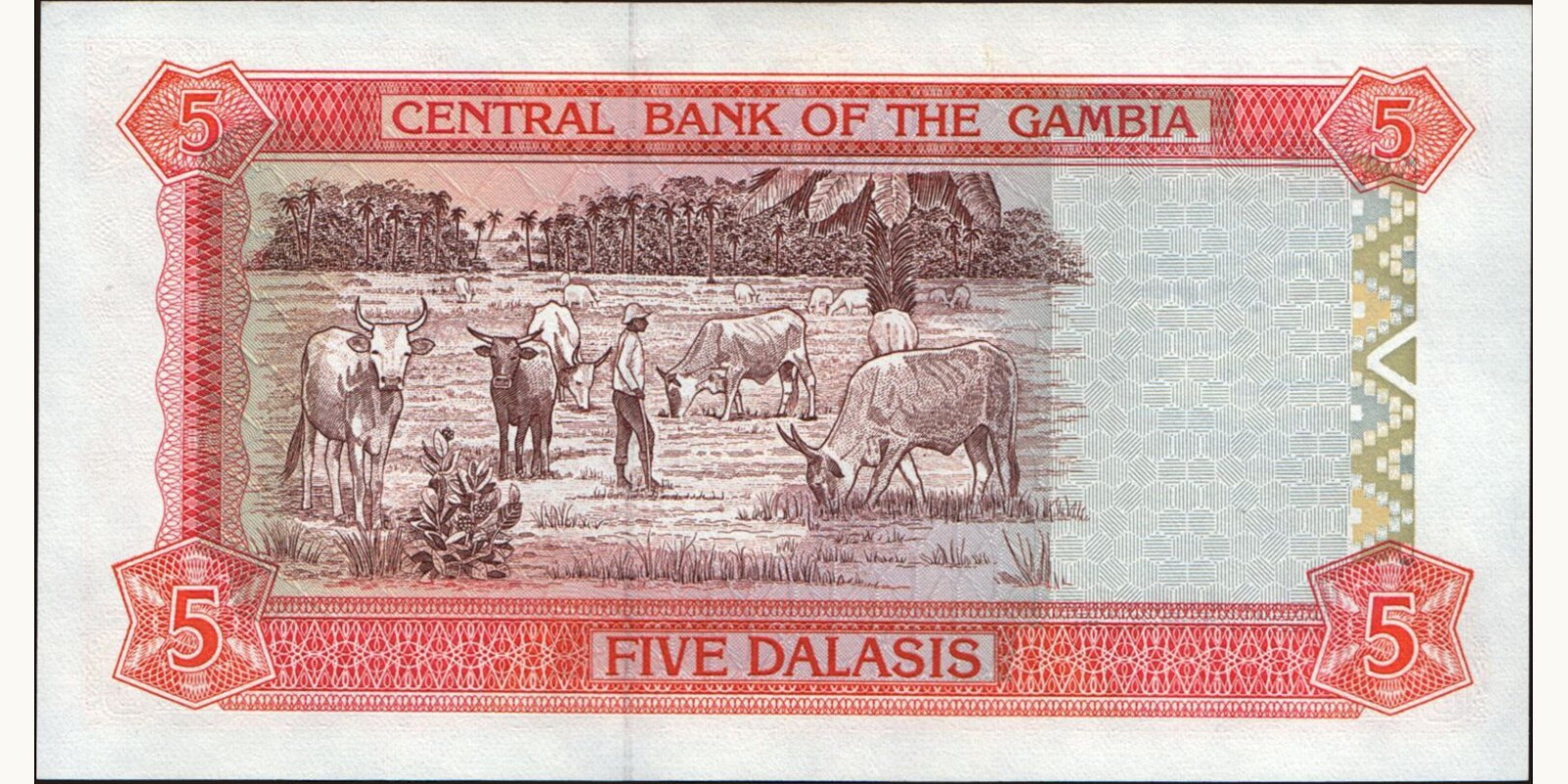 5 dalasis Гамбия 1996 — Оборотная сторона